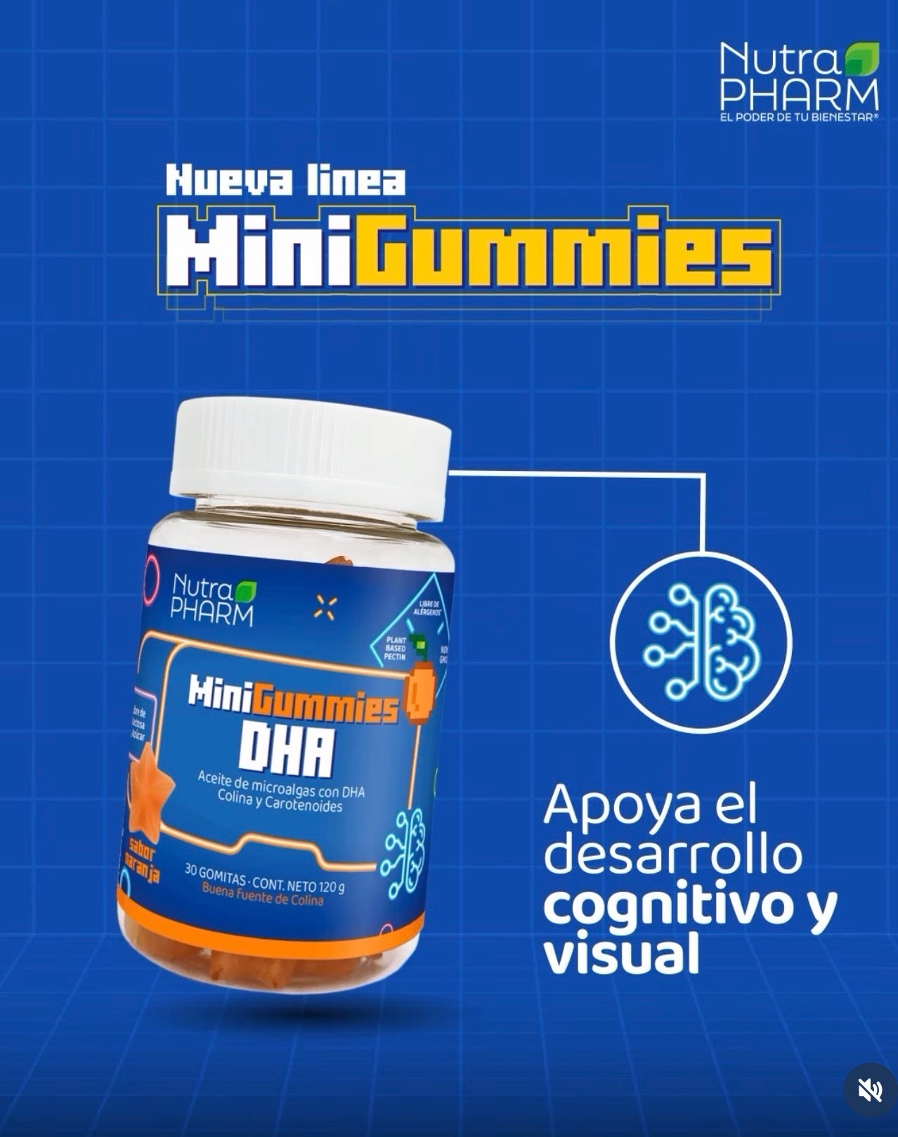 Mini Gummies DHA (Despacho gratis RM)