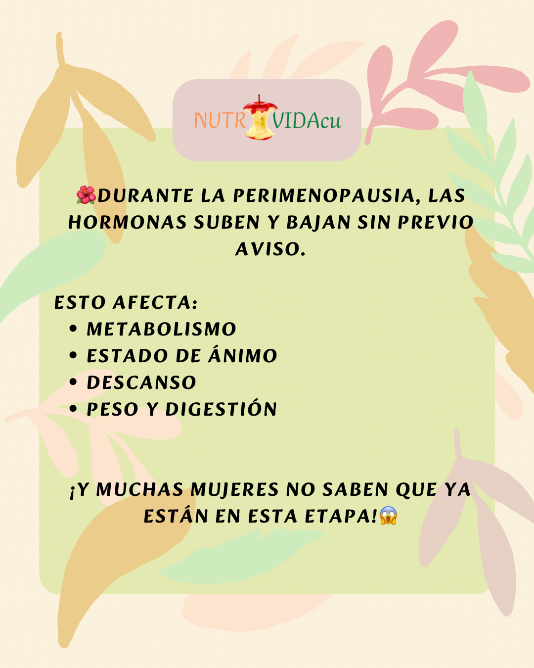 🌸Guía de Alimentación en Perimenopausia