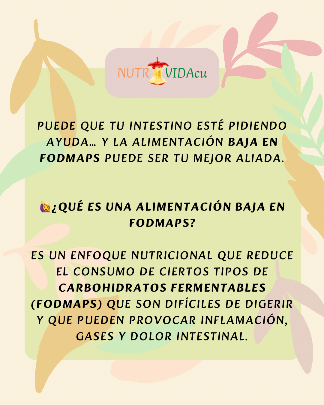 🥗Pack Alimentación Bajo en Fodmaps