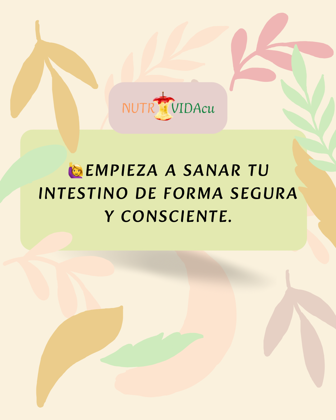 🥗Pack Alimentación Bajo en Fodmaps